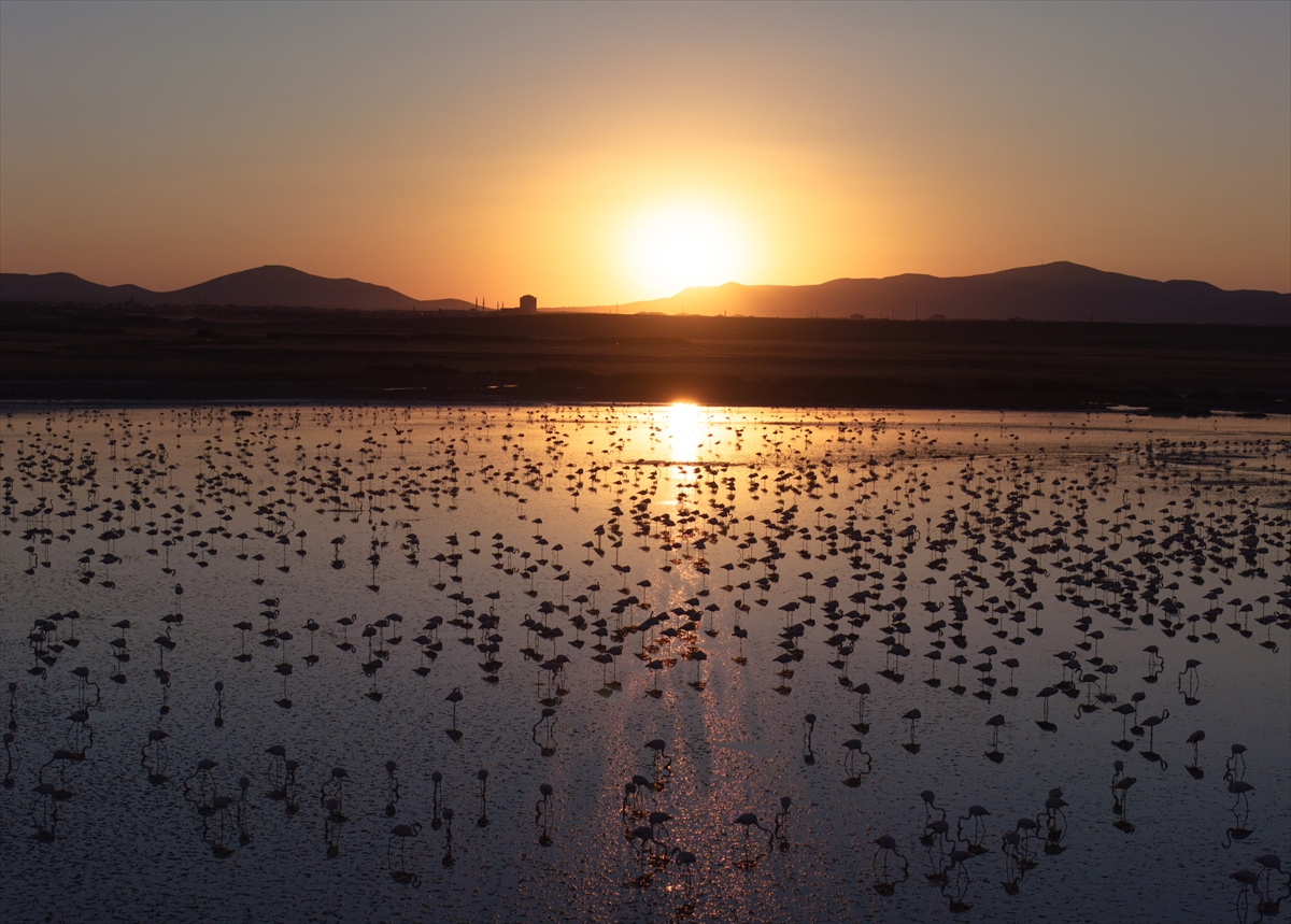 Konya'nın kuş cenneti olan gölünde su seviyesi azalıyor