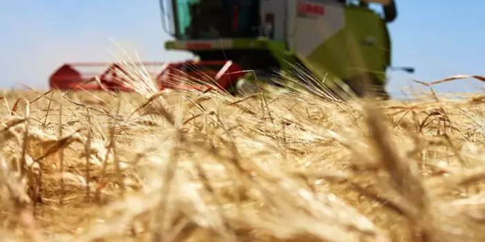 11 ÜRÜNDE BİRİNCİ 13 ÜRÜNDE ÜÇÜNCÜ İL KONYA! Türkiye'de tohum üretiminin yüzde 25.7'sini Konya'dan