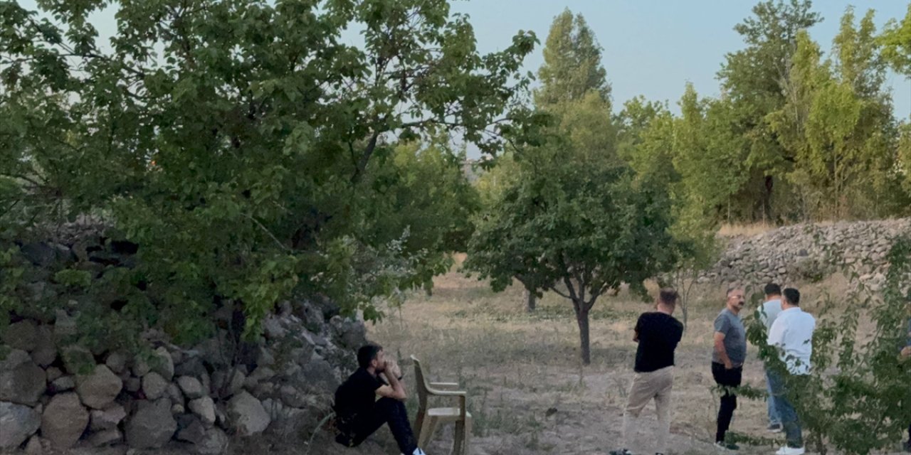 92 yaşındaki adam budamak için çıktığı ağaçtan düşerek öldü