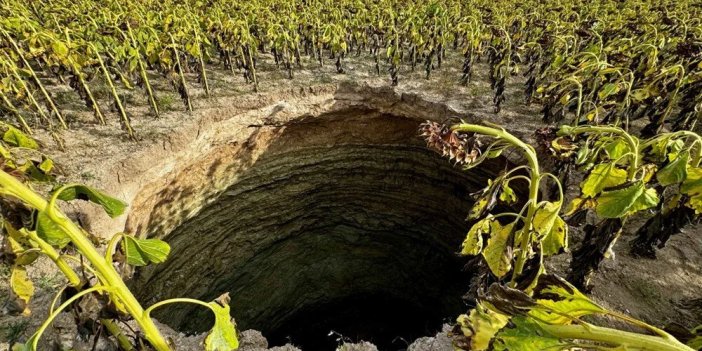 KONYA'DA SAYILARI 3 BİNİ AŞTI! Artık Eskişehir'i de tehdit ediyor!