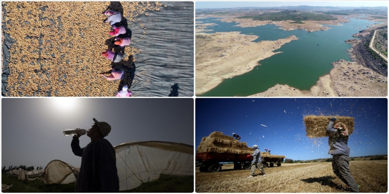 Türkiye'de 1970'den beri ölçülen en sıcak yaz