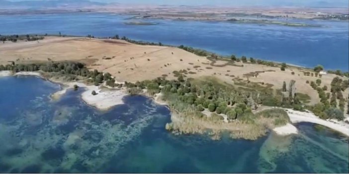 YANLIŞ OKUMADINIZ! Konya'da adayı satılığa çıkardılar!