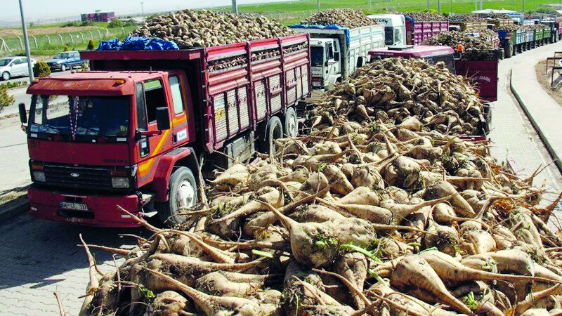 Konya’da şeker pancarı nakliyecileri tonaj ve maliyet kıskacında