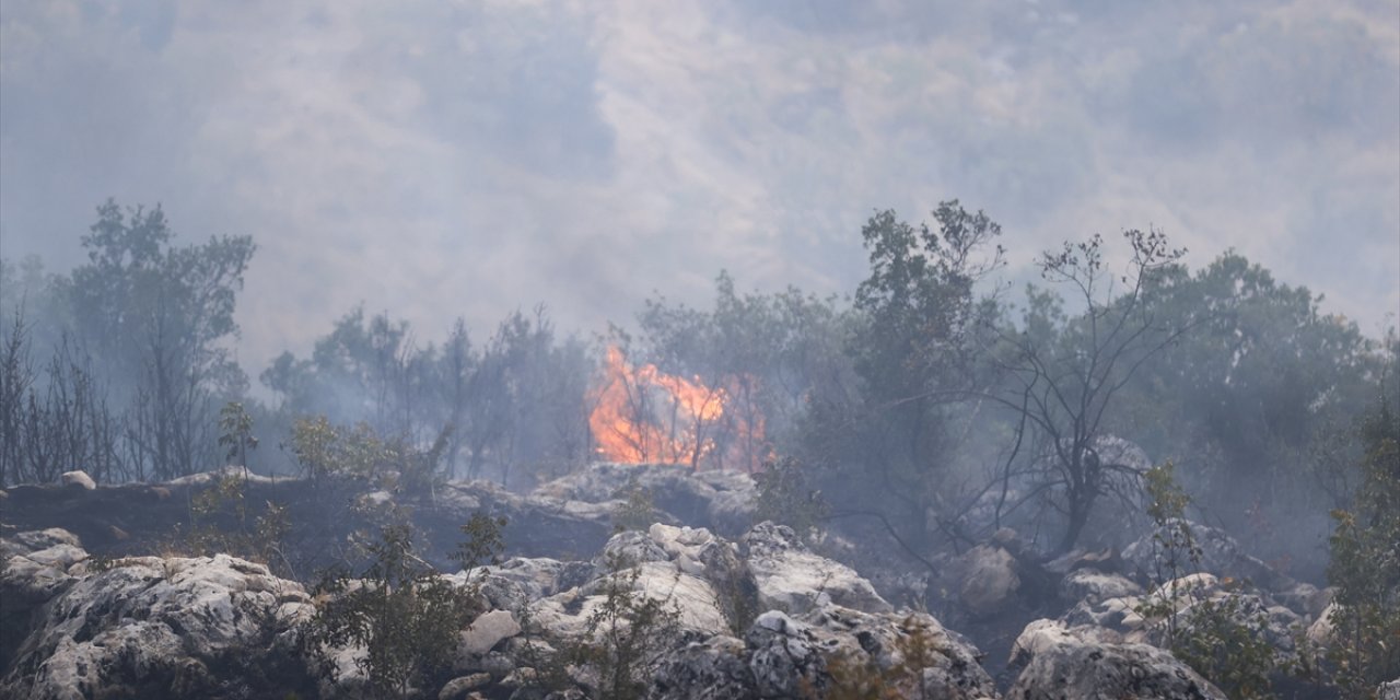 Gaziantep'te ormanlık alanda çıkan yangına müdahale ediliyor