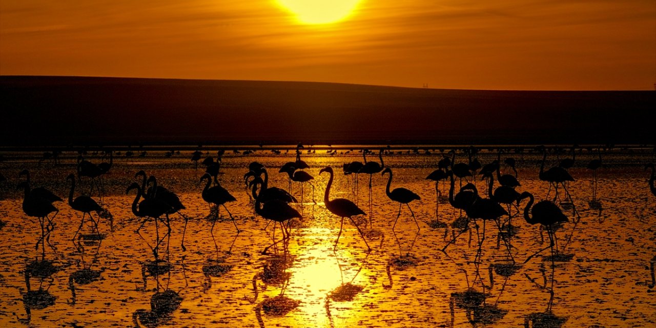 Göçmen kuşların uğrak noktası Düden Gölü