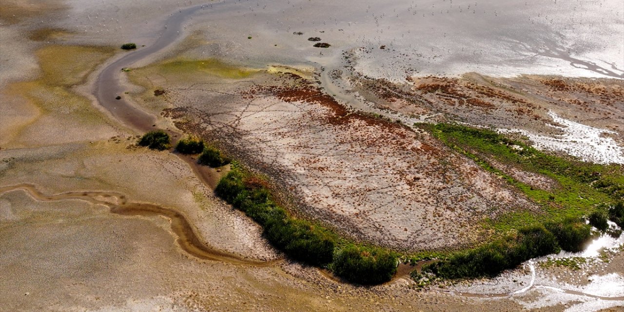 Konya'da göçmen kuşların sığınağı olan gölde su seviyesi düştü