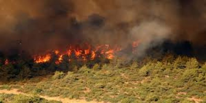 Konya AKOM'dan 'Yangına Hazır Ol' uyarısı! Tedirgin etti!