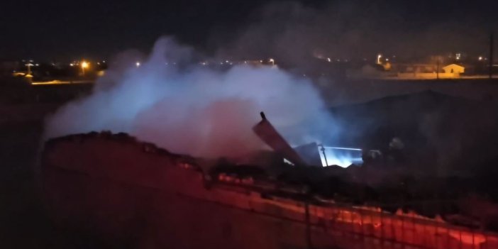 Sebebi bilinmiyor! Konya'da koyunlar yangından son anda kurtarıldı