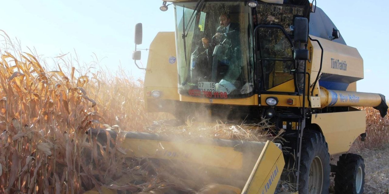 Kaymakam Pelvan, mısır hasadına katıldı