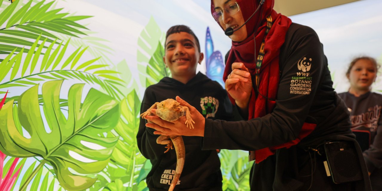 Öğrenciler sakallı ejderle Konya Tropikal Kelebek Bahçesi’nde tanışıyor