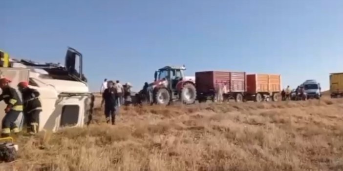 Konya'da tam 100 koyun telef oldu!