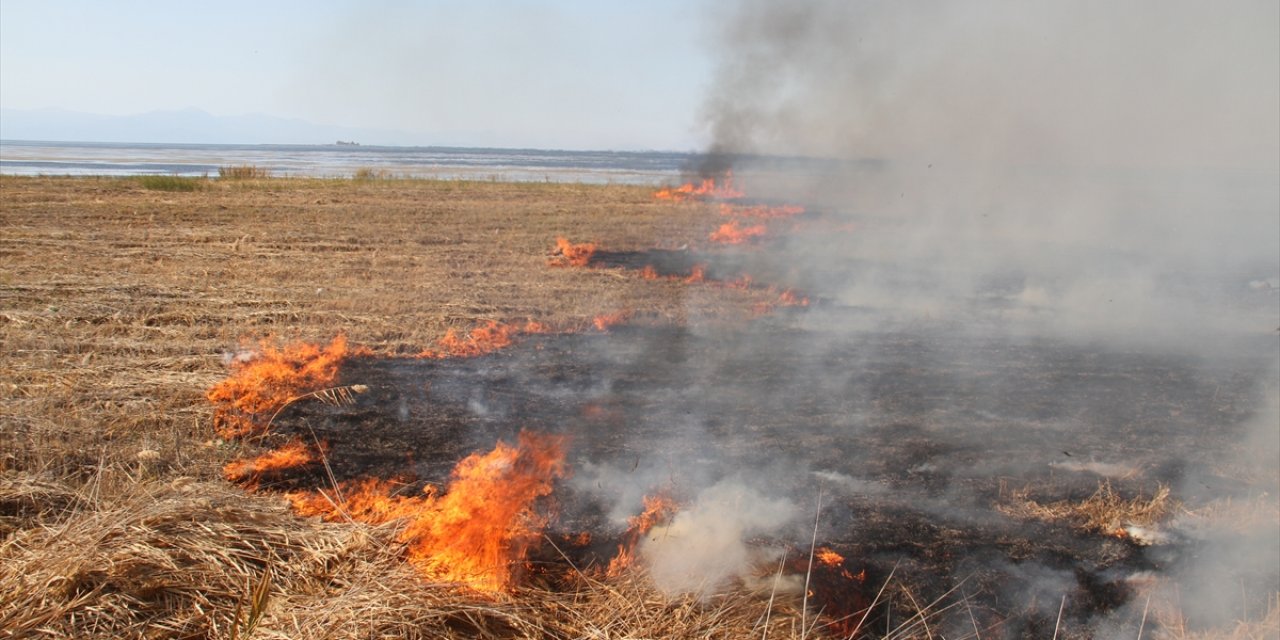 Beyşehir Gölü kıyılarındaki sazlık alanda yangın