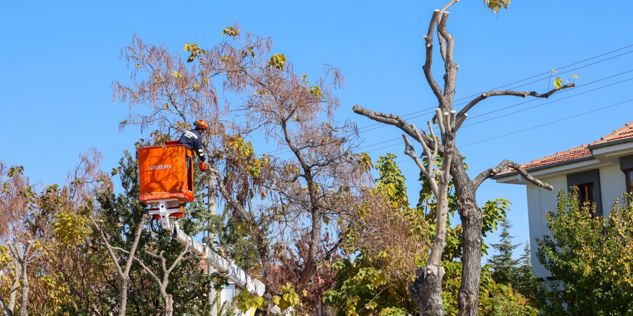 Selçuklu’da ağaç budama çalışmaları devam ediyor