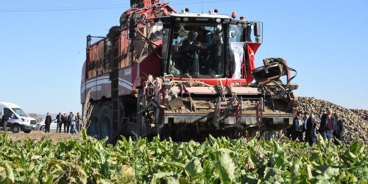 Şeker pancarı üretiminde 2023 yılında rekor kırıldı