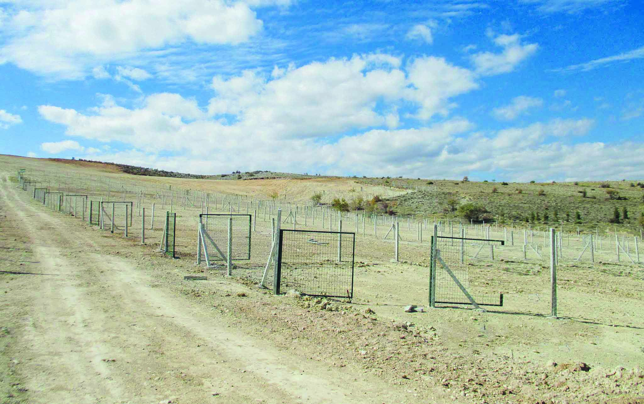 Başkan Kavuş'tan hobi bahçesi sözleri! Kavuş: Mesele tarla değil