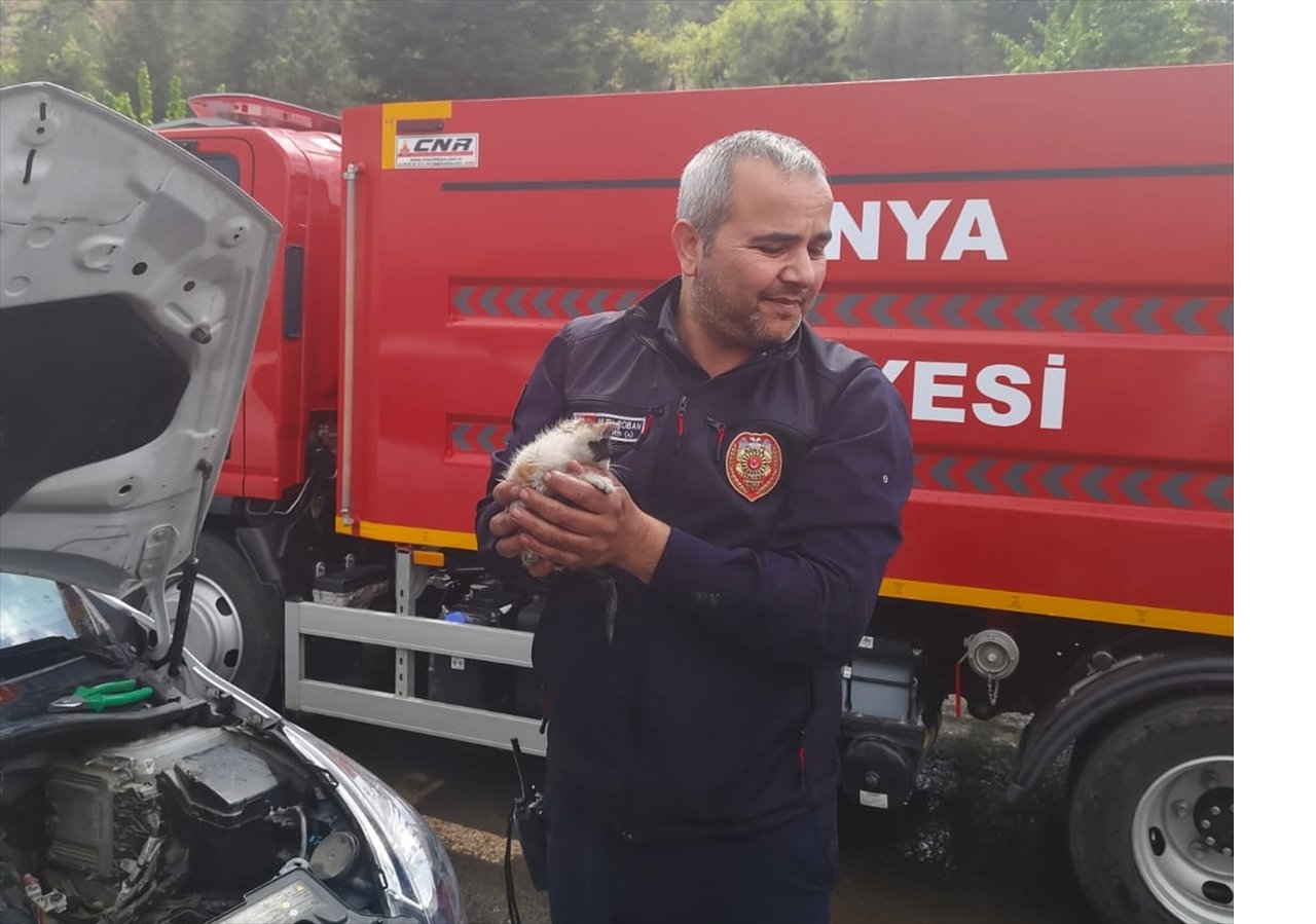 aa-20240501-34433591-34433590-konyada-otomobilin-motor-kisminda-sikisan-kedi-yavrusu-kurtarildi.jpg