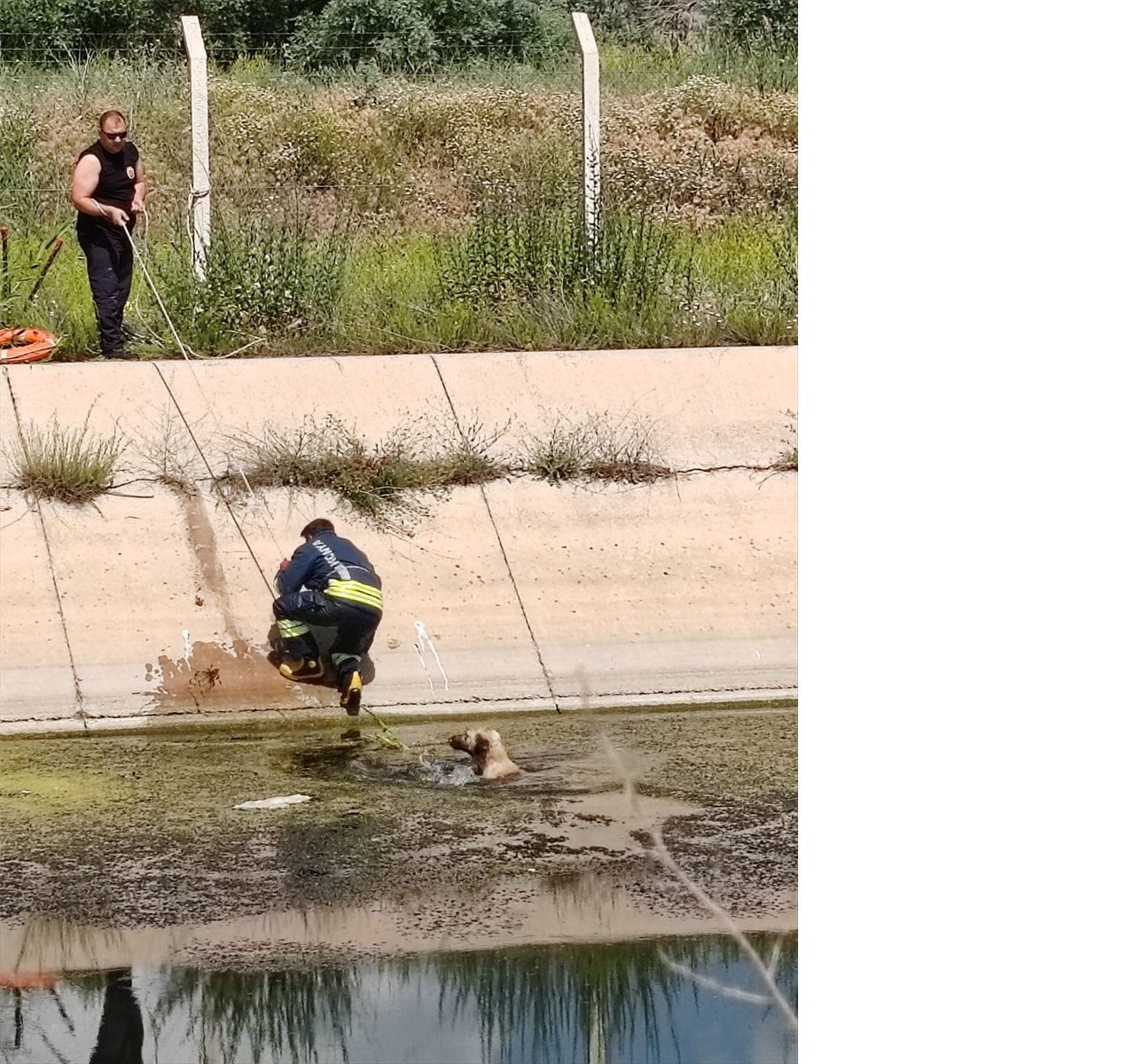 aa-20240606-34799616-34799615-sulama-kanalina-dusen-kopegi-itfaiye-ekipleri-kurtardi.jpg