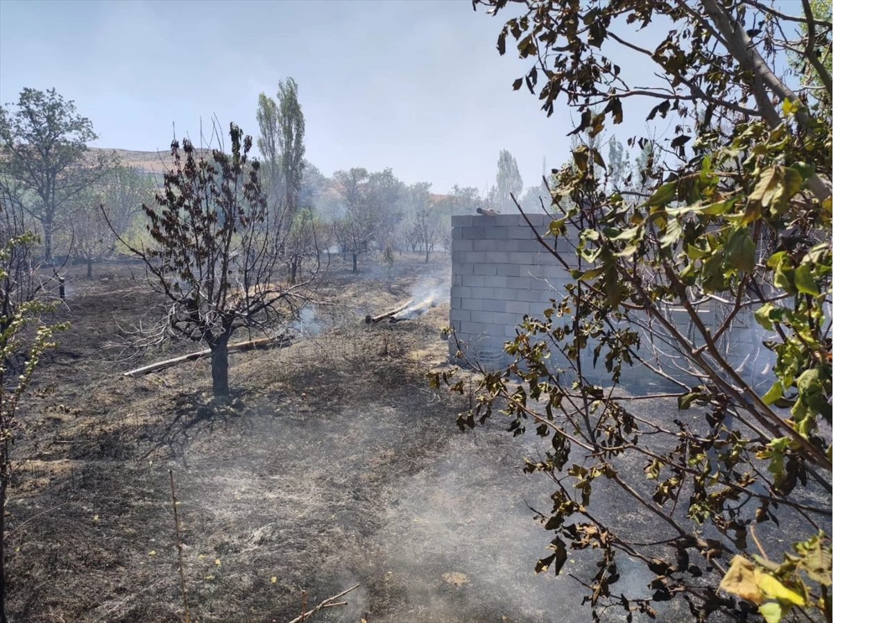 aa-20240623-34950777-34950774-konyada-agaclik-alanda-cikan-yangin-sonduruldu.jpg