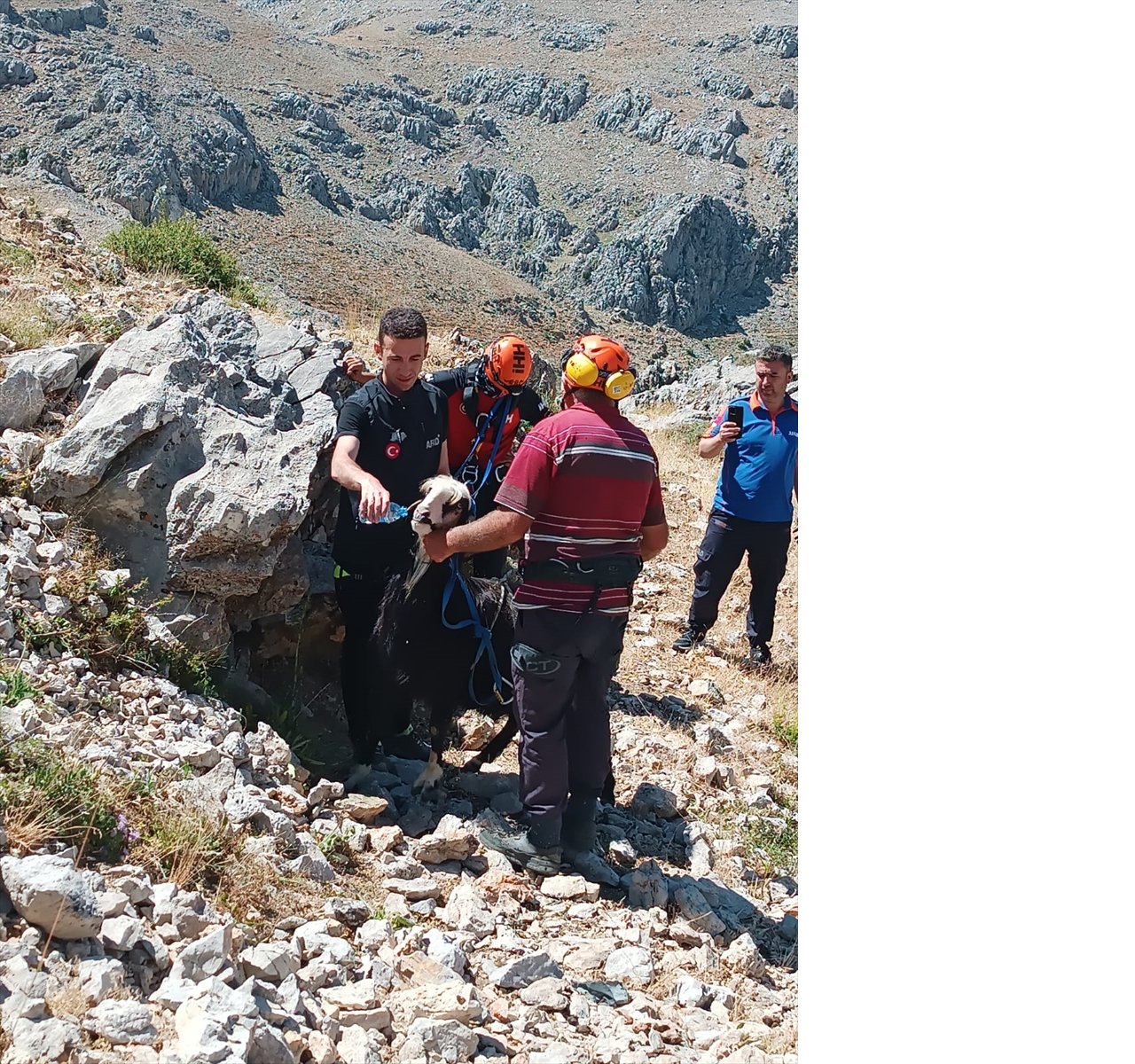 aa-20240705-35060876-35060875-konyada-kayaliklarda-mahsur-kalan-keci-kurtarildi.jpg