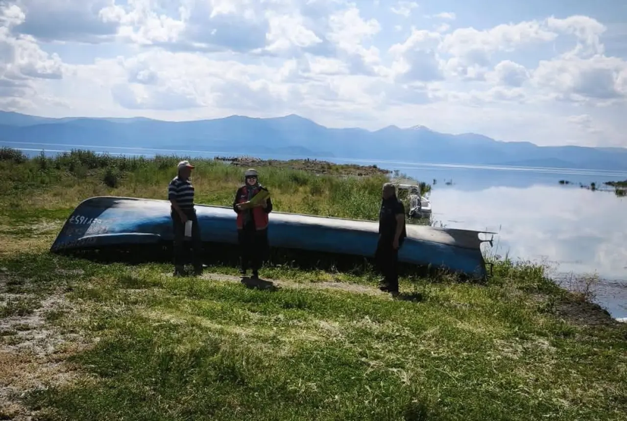 1780828441492-image.webp