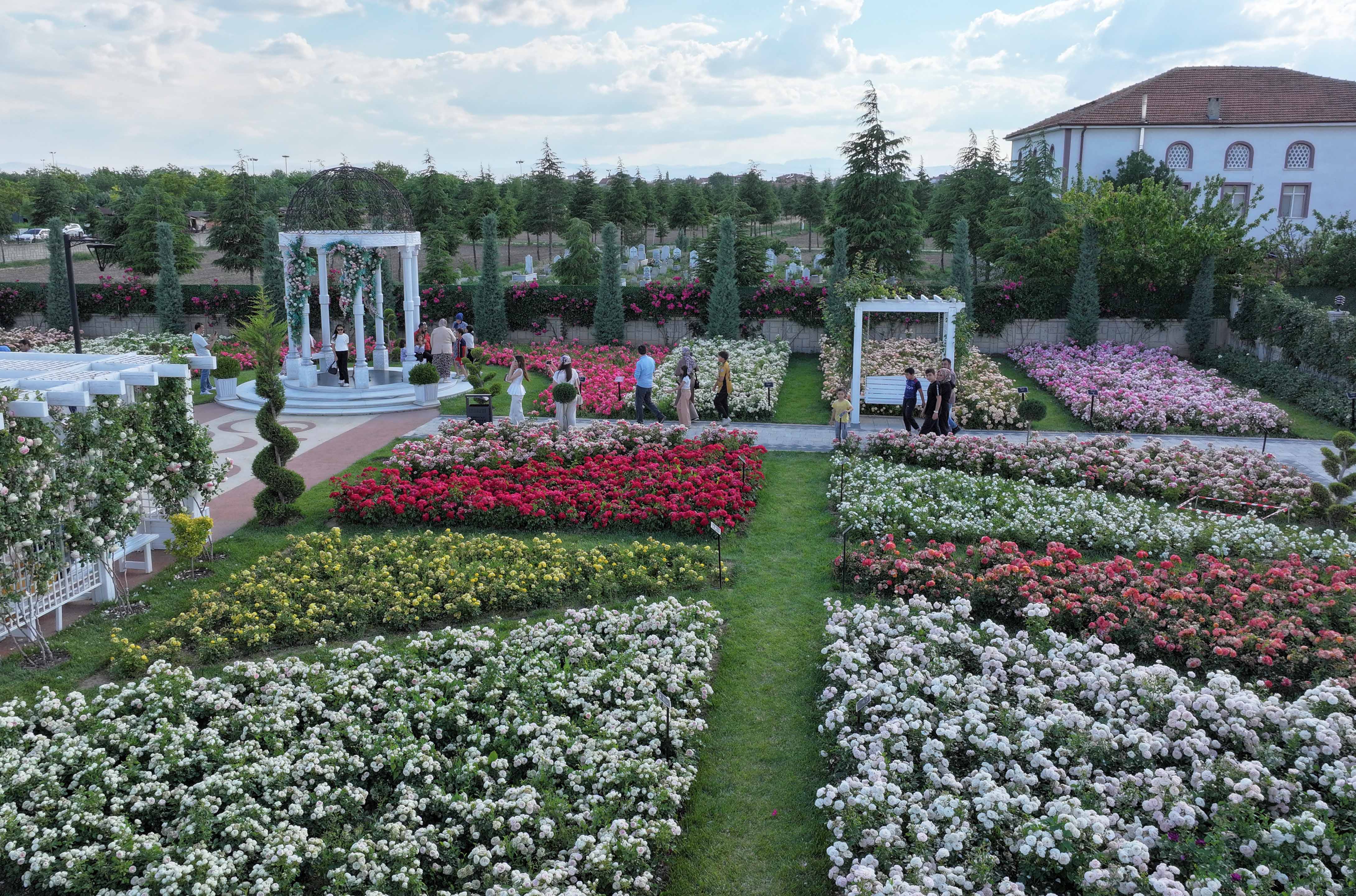 karatayda-190-cesit-gul-gorsel-solen-sunuyor-5.jpg