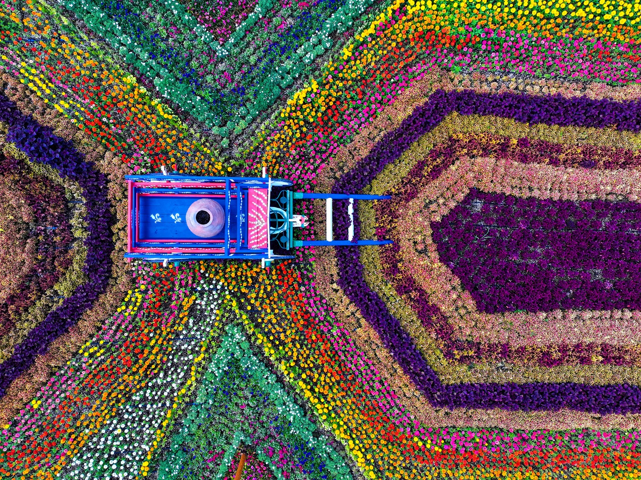 178367962142821.jpg