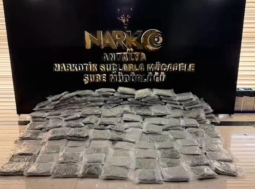 178879202349411.jpg