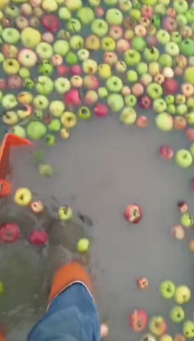 179230269740440.png
