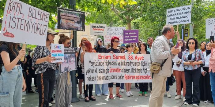 Konya'da sokak hayvanları lobisi devreye girdi