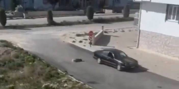 Konya'da bu görüntüler infiale yol açtı! Emniyet harekete geçti! Şahıs gözaltına alındı