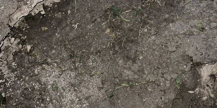 Konya'da bir pancar tarlasında yeni bir obruk oluştu Hasada devam ettiler